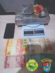 Divulgação