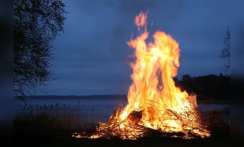 Fogo no mato vira caso de polícia em Apucarana