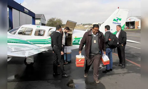 Estado mantém liderança em doações de órgãos no 1º semestre