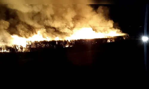 Incêndio em vegetação mobiliza bombeiros em São Pedro do Ivaí