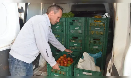 Cooperativa de hortifrútis do Vale do Ivaí expande mercado