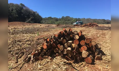 Dono de sítio é multado em R$ 13 mil por danos em área de preservação