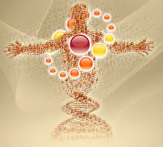 Ciclos da vida
