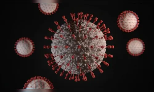 Apucarana confirma mais 18 casos de Covid-19