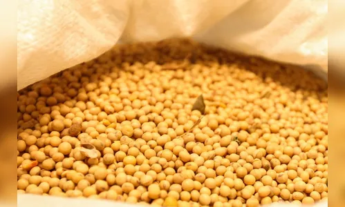 Encontro online destaca o Paraná como produtor de alimentos