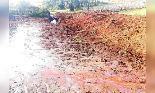 Polícia Ambiental autua proprietário rural por danos a APP em Ivaiporã