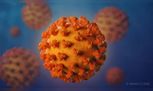 Paraná registra 2.228 novos casos da Covid-19