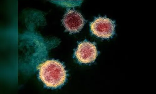 Londrina registra mais 152 casos do novo coronavírus