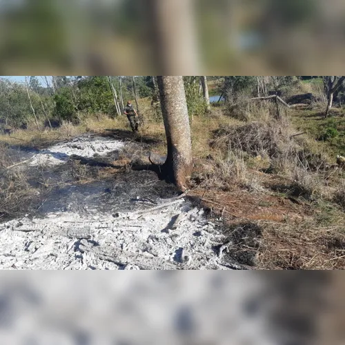 Polícia Ambiental autua propriedade rural por degradação em APP