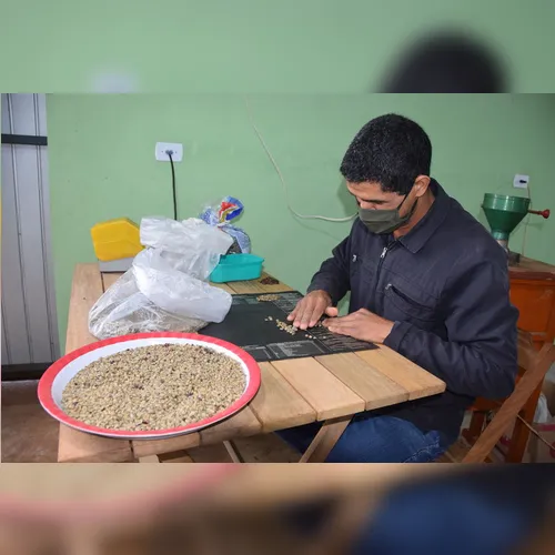 Concurso  seleciona melhores cafés em Ivaiporã