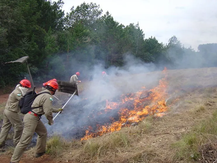 Incêndios ambientais preocupam Bombeiros em Apucarana