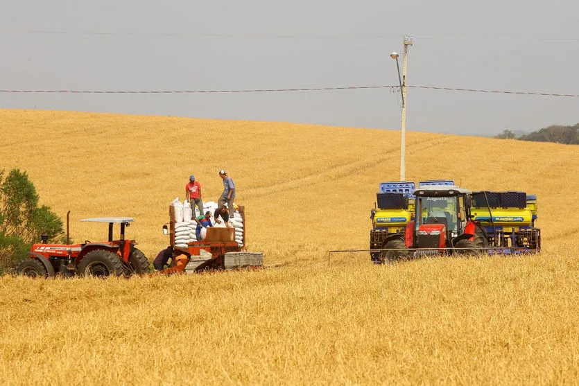 Boletim agropecuário ressalta início do plantio da soja no Paraná