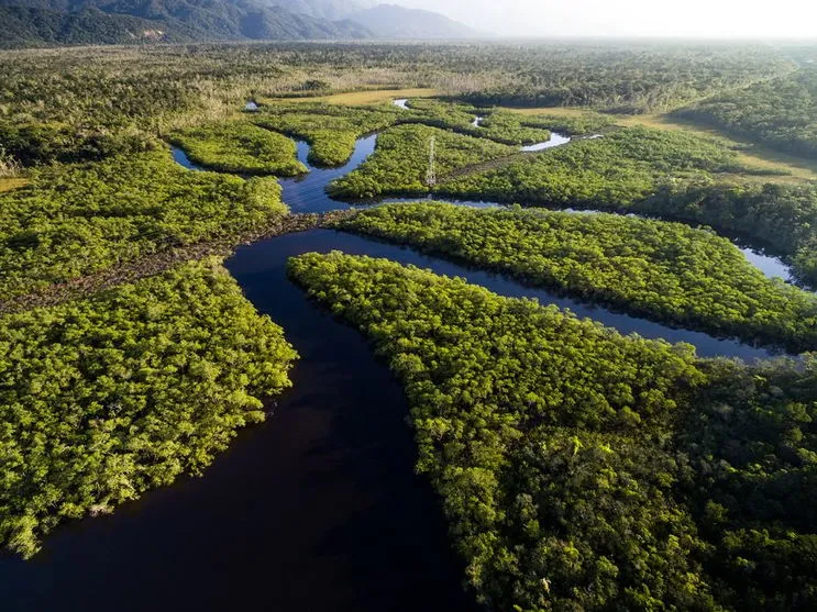 Governo planeja criar uma 'força tática da Amazônia'