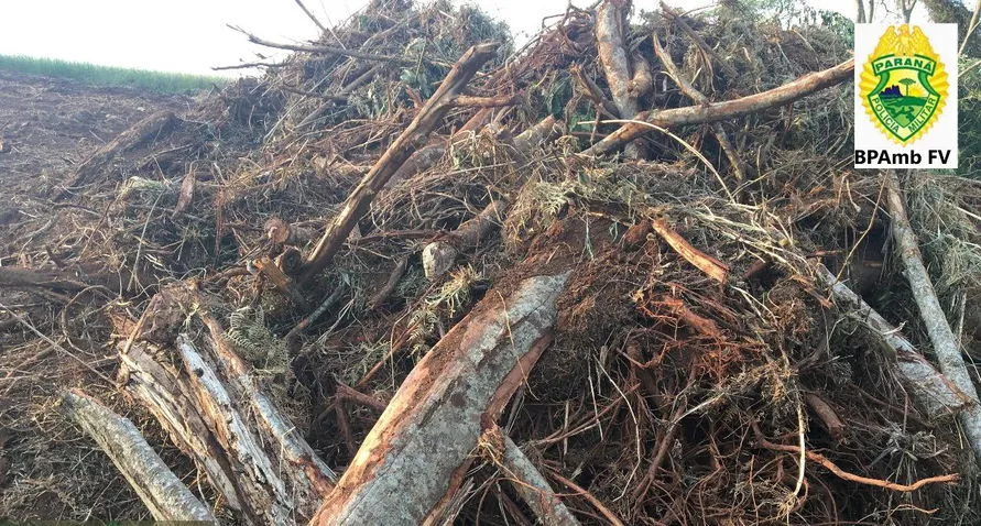 Sitiante recebe multa por dano em floresta em Ariranha do Ivaí