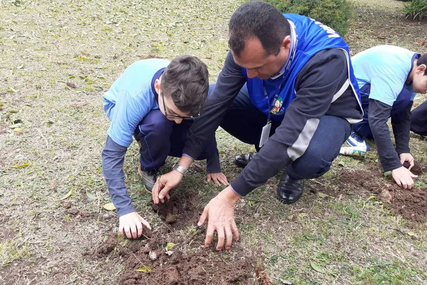 Dia da Árvore terá plantio de 550 mil mudas em todo Estado