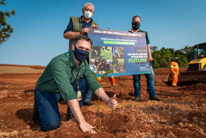 Aeroporto de Foz do Iguaçu começa o plantio de 10 mil mudas nativas