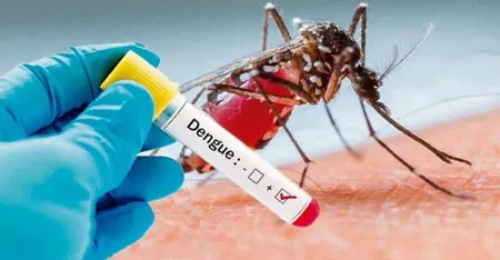 Apucarana registra 1° óbito por dengue no período epidemiológico