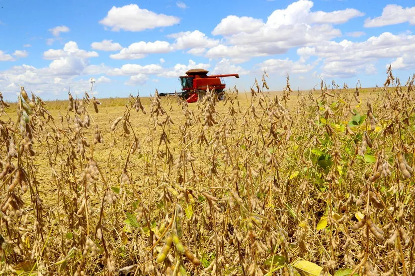 Paraná deverá produzir 40 milhões de toneladas de grãos