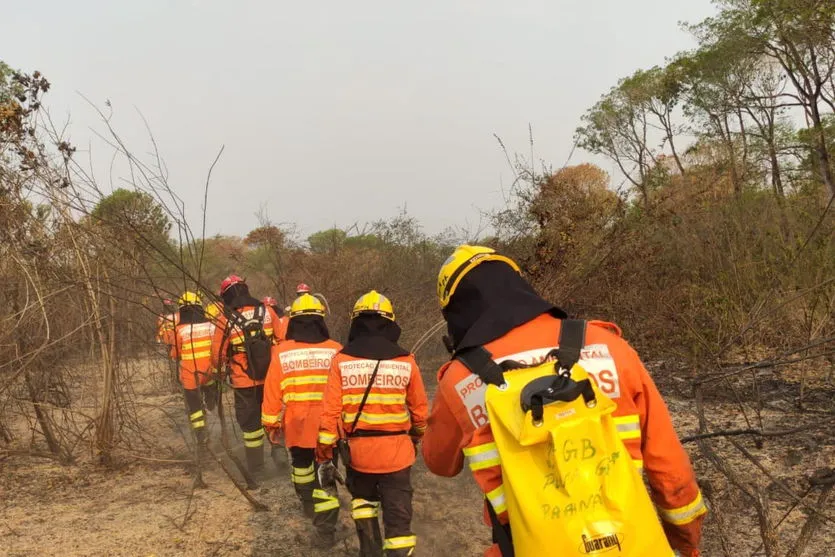Bombeiros paranaenses estão há 10 dias no Pantanal