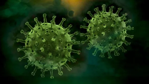 Faxinal registra 8ª morte pelo novo coronavírus