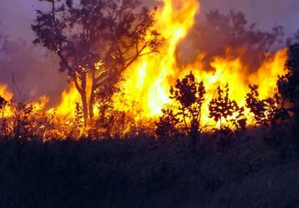 Incêndios ambientais batem recorde em setembro na região