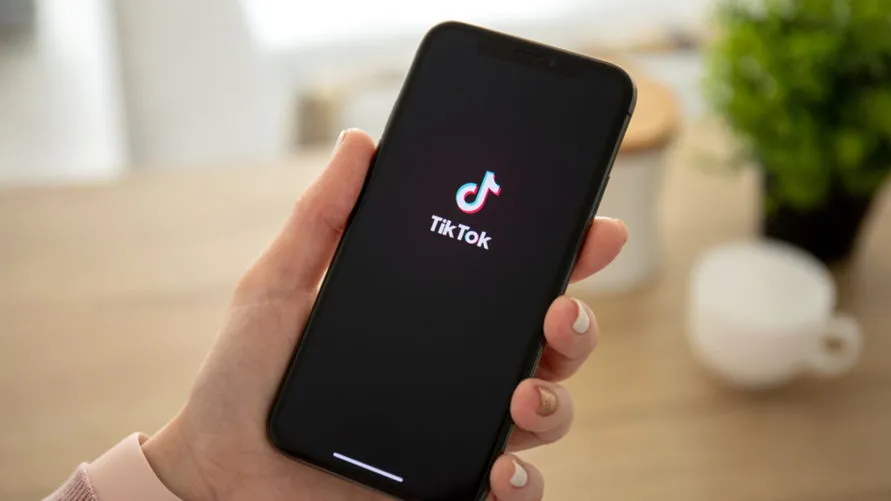 TSE anuncia parcerias com Twitter e TikTok para combater desinformação