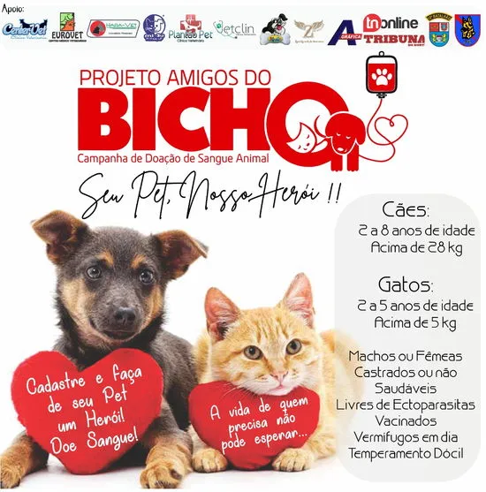 Amigos do bicho lançam projeto de doação de sangue animal