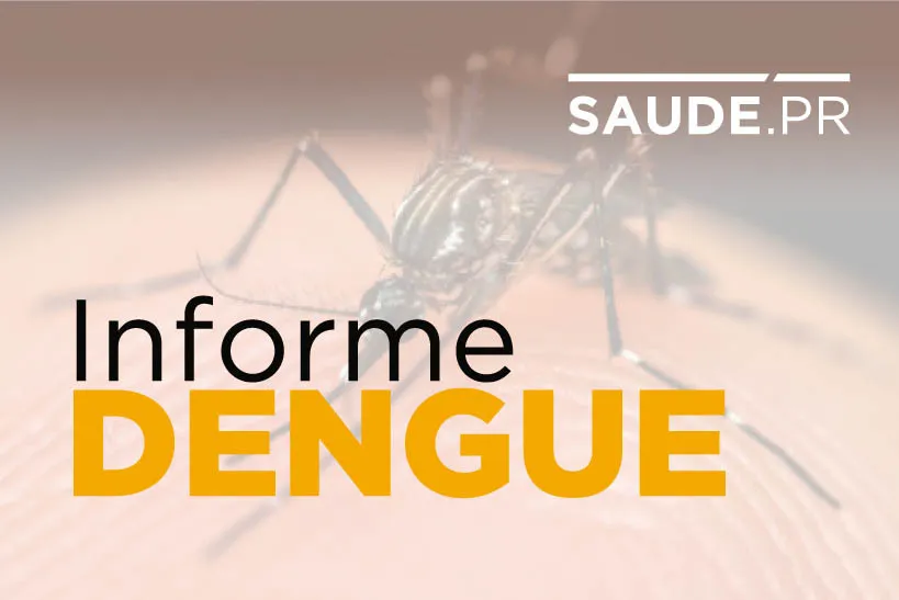 Paraná registra 2 óbitos e 741 casos de dengue em dois meses