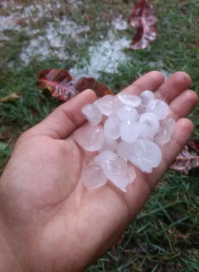 Temporal e chuva de granizo derrubam postes e árvores no Paraná