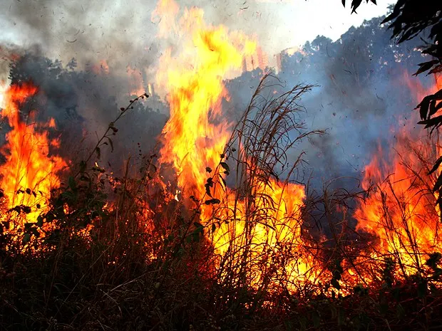 Desmatamento da Amazônia cai pelo terceiro mês consecutivo, mas queimadas sobem