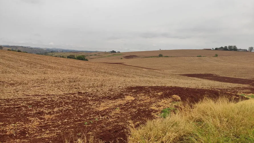 A precipitação acumulada média na região até por volta das 9h30 estava em 14 milímetros