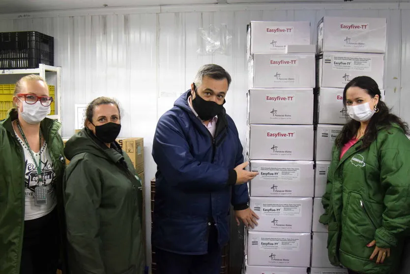 Campanha nacional: Paraná recebe 95 mil doses da vacina pentavalente