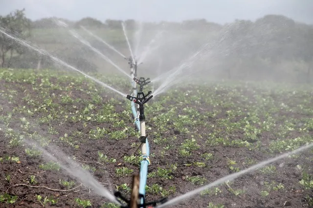 Implantação de sistema híbrido para irrigação é um marco para o agronegócio