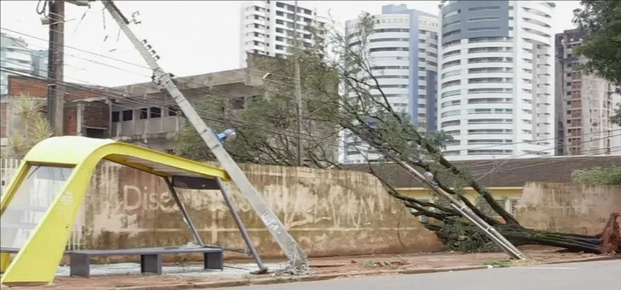 Vendaval derrubou 42 árvores em Maringá