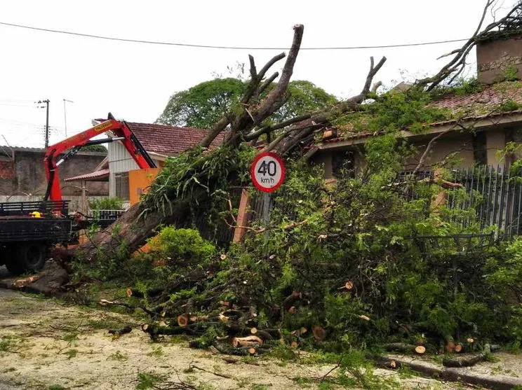 Após o temporal de quarta-feira, ainda há residências sem energia em Maringá