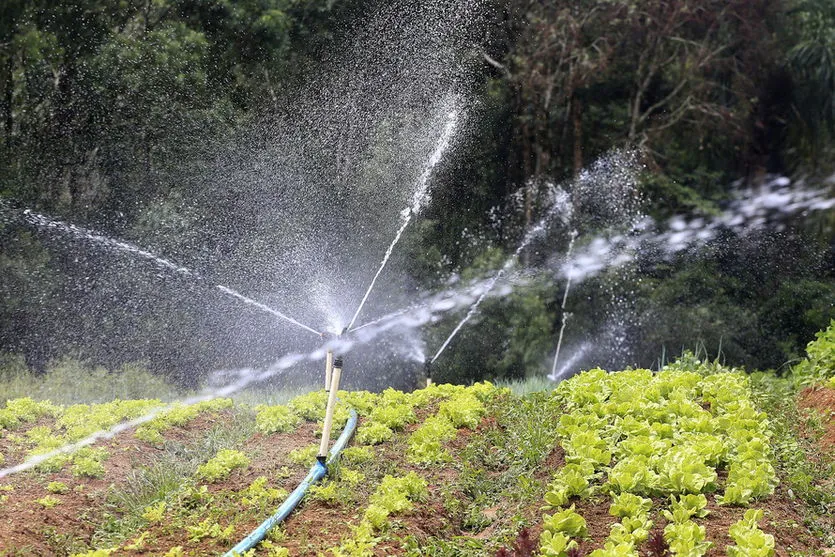 Produção de alimentos também precisa de mais chuva