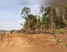 PM registra derrubada de vegetação nativa em Ivaiporã