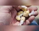 COMBATE ÀS DROGAS