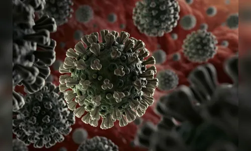 São João do Ivaí registra 172 casos e 165 curados da Covid-19