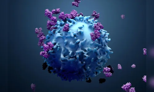 Paraná informa novos 1.902 casos e 56 mortes pela Covid-19