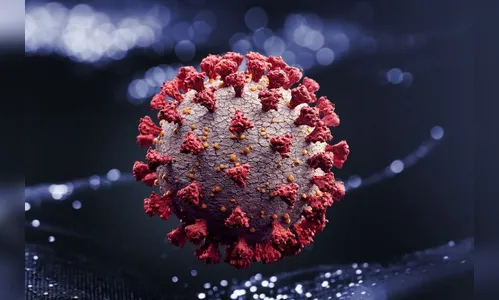 Arapongas registra 46 novos casos de coronavírus