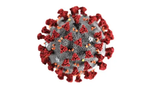 São Pedro do Ivaí soma mais um caso de coronavírus