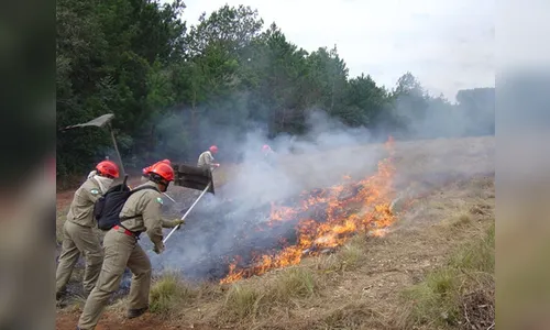 Incêndios ambientais preocupam Bombeiros em Apucarana