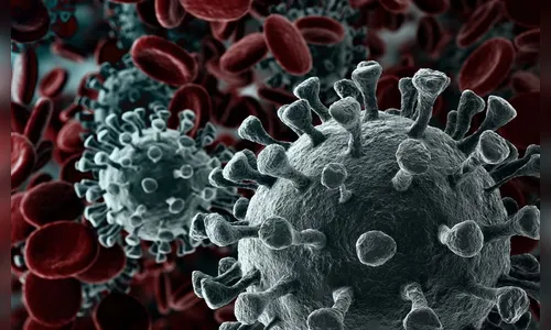 Apucarana confirma mais três casos de Covid-19, neste domingo