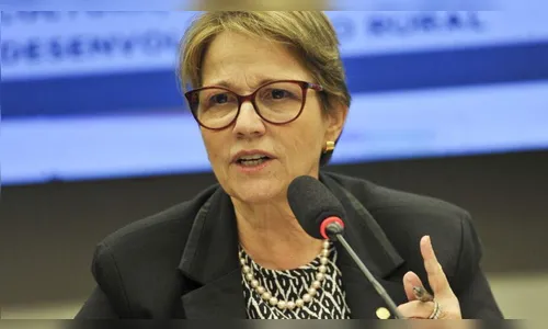 Governo fará preço do arroz baixar e produto não faltará, garante ministra