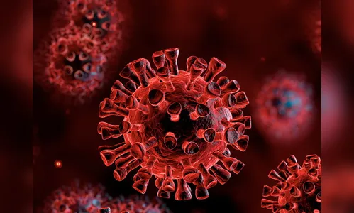 Covid-19 já infectou mais de 143 mil paranaenses