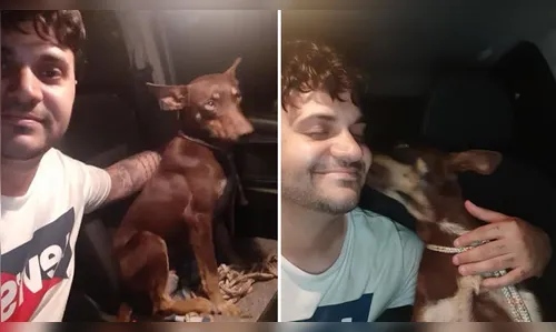 Cãozinho que ajudou devolver dinheiro em Londrina é adotado
