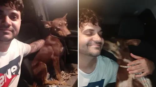Cãozinho que ajudou devolver dinheiro em Londrina é adotado