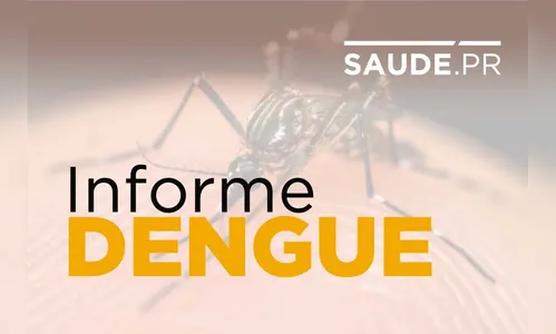 Paraná registra 182 novos casos de dengue no informe quinzenal