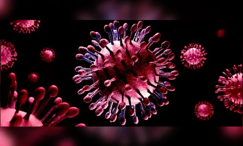 Quatro homens e uma mulher testaram positivo para Covid-19 em Apucarana